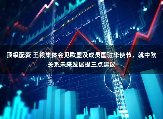 顶级配资 王毅集体会见欧盟及成员国驻华使节，就中欧关系未来发展提三点建议